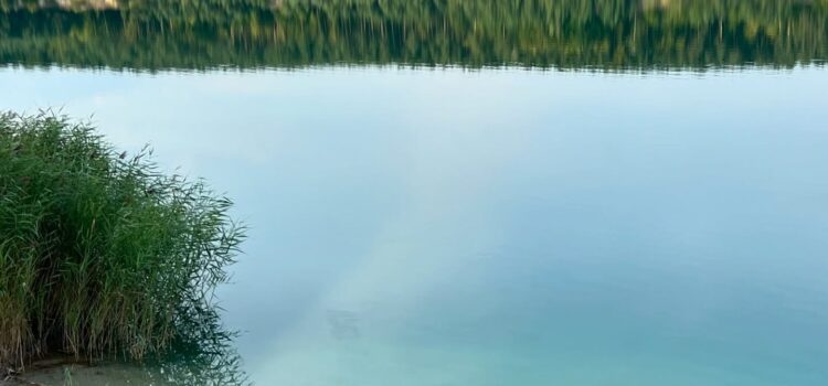 ТОП-10 озер біля Львова для купання у 2026 році: найкращі водойми для літнього відпочинку ТОП-10 озер біля Львова для купання у 2026 році: найкращі водойми для літнього відпочинку